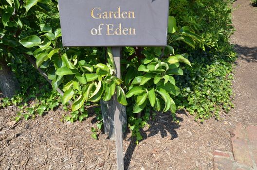 garden of eden sign with plants with green leaves and mulch