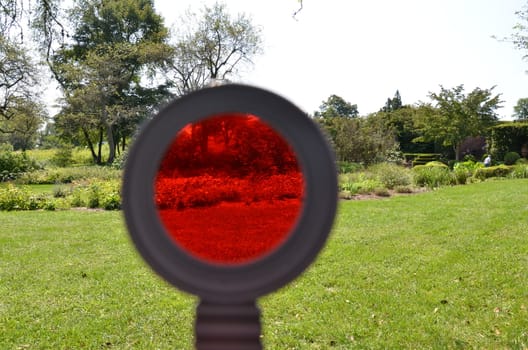 red tinted magnifying glass and grass lawn or yard