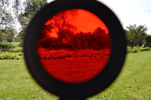 red tinted magnifying glass and grass lawn or yard