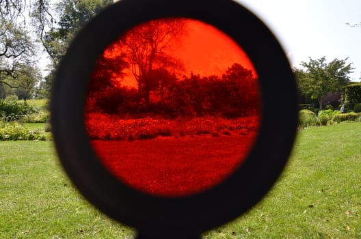 red tinted magnifying glass and grass lawn or yard