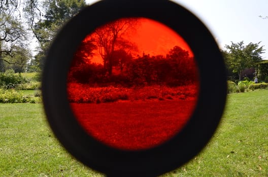 red tinted magnifying glass and grass lawn or yard