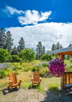 Back yard garden with wooden chairs and shed on sunny day