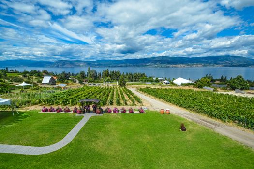 Beautiful view of Okanagan lake with winery vineyard in the front, mountains on horizon, and blue sky background. Kelowna, British Columbia.