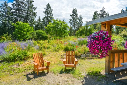 Back yard garden with wooden chairs and shed on sunny day