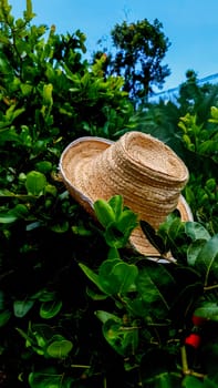 straw hat on the scene about nature and sky.