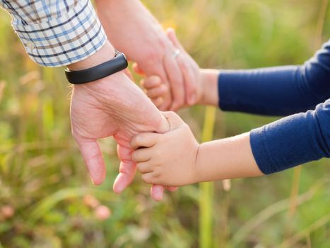 Father and son hold hands. Emotional and moral support. Man and boy shake hands. Golden hour of sunset outdoors. Natural summer or autumn background.