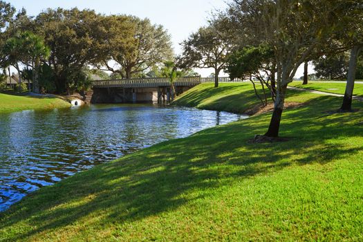 Natural parkland with lake. Florida, USA