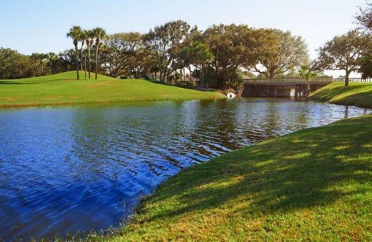 Natural parkland with lake. Florida, USA