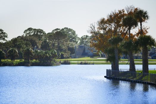 Pond in residential district of Florida, USA