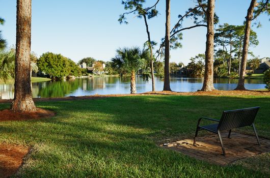 Public park with pond. Florida, USA