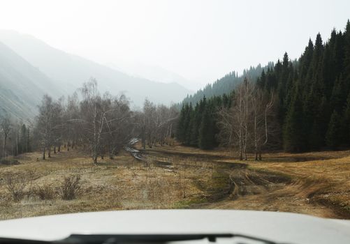 Road trip through the nature of Europe. Car point of view