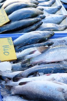 Seafood, Fresh Barramundi Fish in local market,thailand