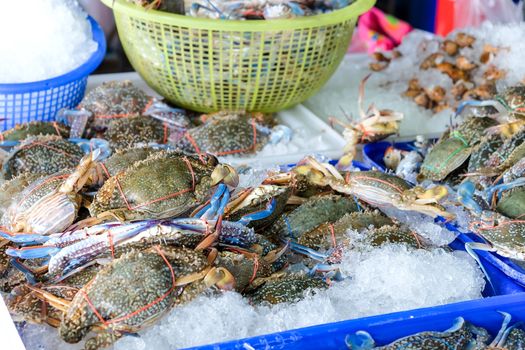 Image of Fresh raw crab at sea food market,Thailand