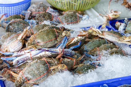 Image of Fresh raw crab at sea food market,Thailand