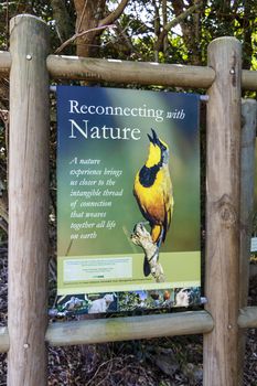 Reconnecting with nature turquoise information sign in Kirstenbosch, Cape Town, South Africa.