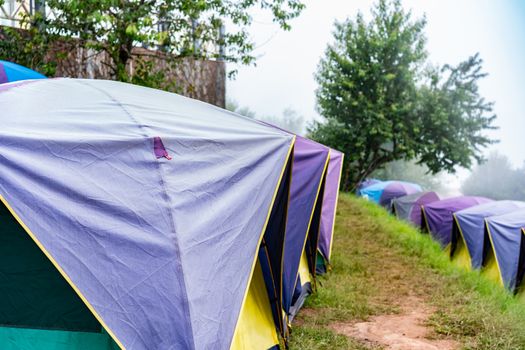 Camping and tent on green grass at the forest on mountain