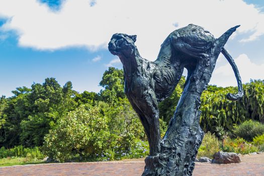 Puma sculpture in Kirstenbosch Botanical Garden in Cape Town.