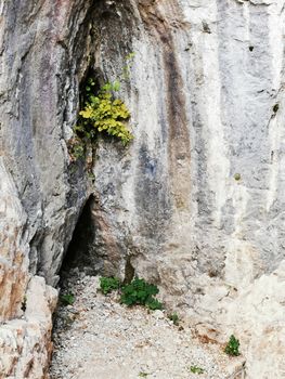 A close up of a rock. High quality photo