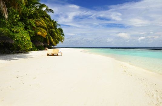 Beautiful tropical paradise in Maldives with coco palms hanging over the white beach and turquoise sea