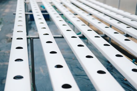 Hydroponic rail pipe with hole for growing vegetable plant in farm