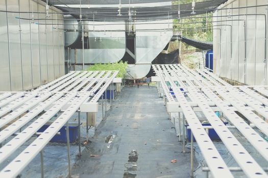 Hydroponic rail pipe with hole for growing vegetable plant in farm