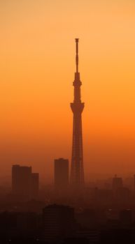 Silhouette of Tokyo sky tree building and landscape city in evening sunset.