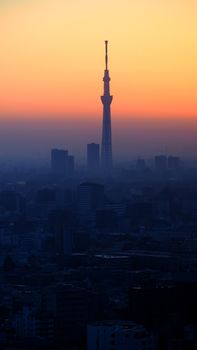 Silhouette of Tokyo sky tree building and landscape city in evening sunset.