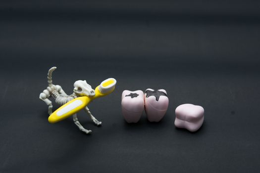 Teeth models of different human jaws with skeleton dog, halloween teeth concept.