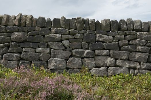 5 - Many various sizes of stones or bricks make up this dry stone wall. Simple background texture with peak district heather and plants in foreground