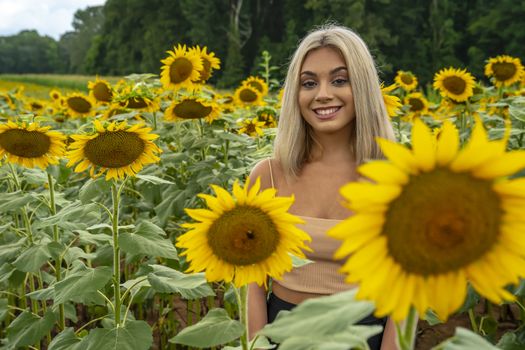 A gorgeous young blonde model poses outdoors in a field of sunflowers while enjoying a summers day