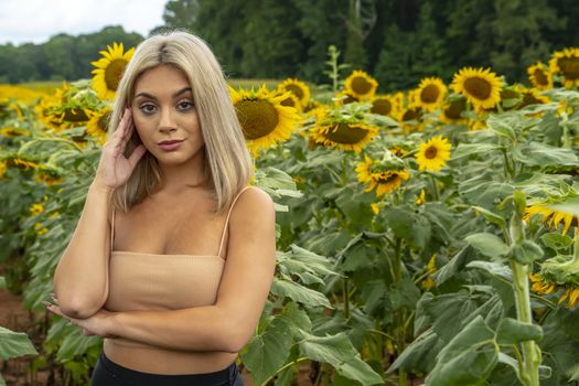 A gorgeous young blonde model poses outdoors in a field of sunflowers while enjoying a summers day