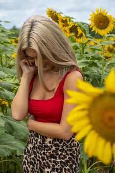 A gorgeous young blonde model poses outdoors in a field of sunflowers while enjoying a summers day