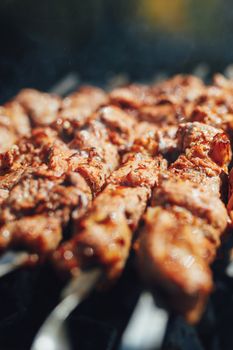 grilled barbecue meat on skewers with smoke
