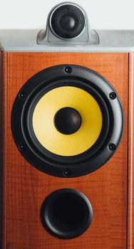 audio speaker, close-up view