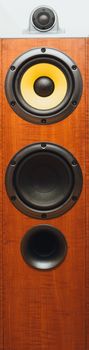 floorstanding audio speaker, close-up view