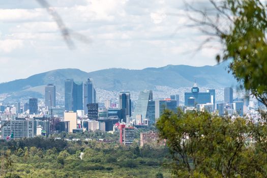 Aerial view of Mexico City, framed by lush trees. forest and city