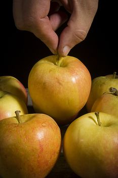 Male hand picks a ripe fresh apple