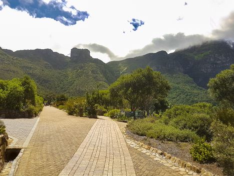 Mountains and trails Kirstenbosch National Botanical Garden, Cape Town, South Africa.