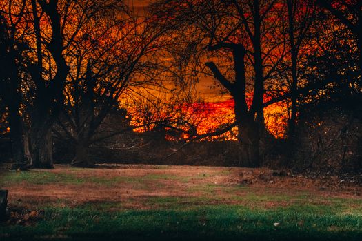 A Bright Orange Sunset in a small wooded area