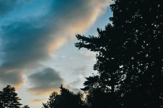 A Dramatic Cloudy Blue Sunrise With a Silhouetted Tree in the Foreground