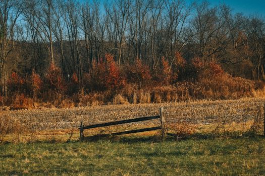 A Broken Wooden Fence in a Green Yellow and Orange Field