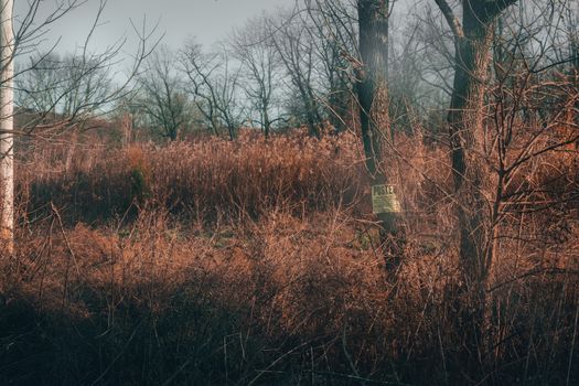 A Dead Field in Winter with a Sign on a Tree That Says No Trespassing