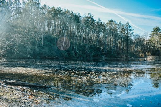 A Frozen Lake on a Cold Winter Day With a Dead Forest and a Bright Blue Sky in the Background