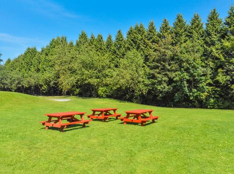 Rest area with red picnic tables on green lawn in a park