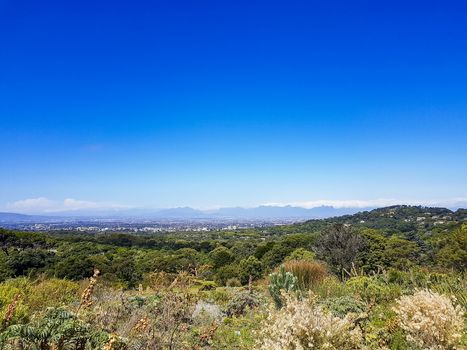 Panoramic view of Cape Town from the Kirstenbosch National Botanical Garden in South Africa.