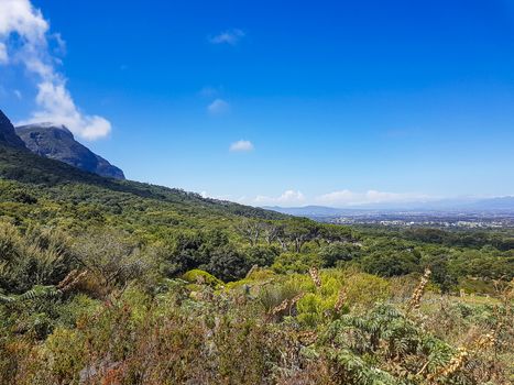 Panoramic view of Cape Town and nature in Kirstenbosch National Botanical Garden, South Africa.