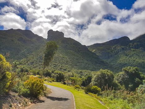 Mountains and trails Kirstenbosch National Botanical Garden, Cape Town, South Africa.