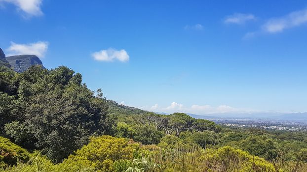 Panoramic view of Cape Town from the Kirstenbosch National Botanical Garden in South Africa.