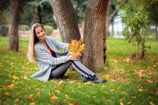 A beautiful girl in a gray cardigan sits on the grass in the park and holds a bouquet of autumn yellow maple leaves in her hands