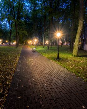A night park lit by lanterns with a stone pavement, trees, fallen leaves and benches in early autumn. Cityscape.